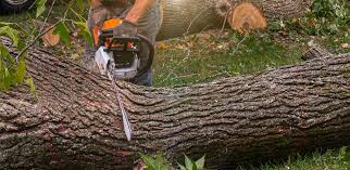 Best Lawn Edging  in Oregon, WI